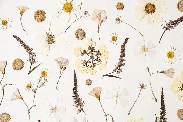 Pressed botanical flowers in a GRWME hair-care editorial image